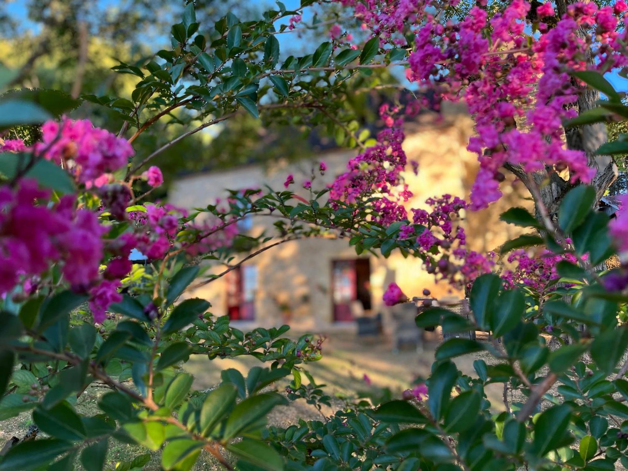 Roquebrune Saint-Alvère Zewnętrze zdjęcie